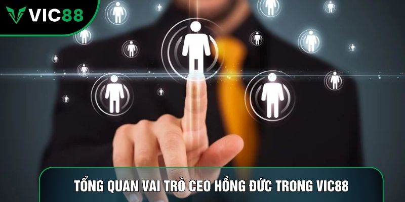 Tổng quan vai trò CEO Hồng Đức trong Vic88